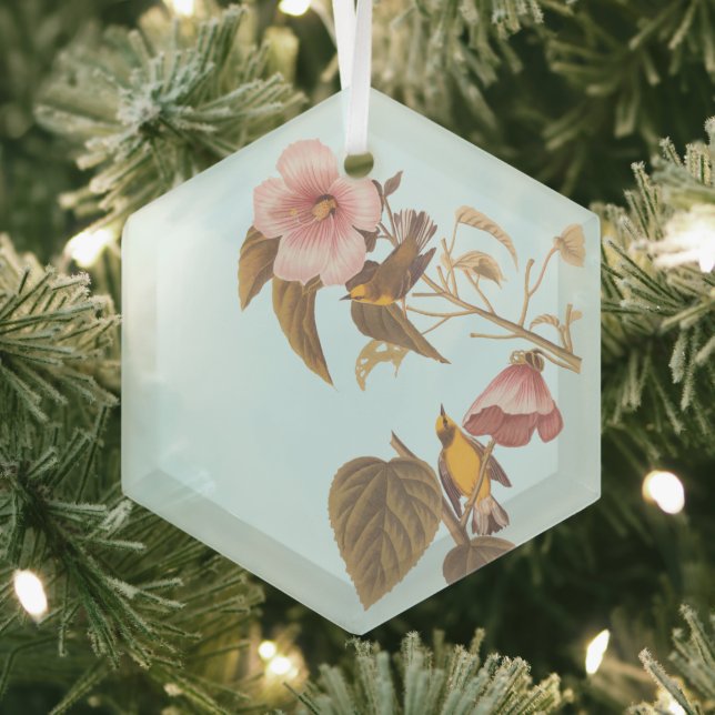 Audubon Blue Winged Yellow Warbler Bird Glass Ornament (Insitu)