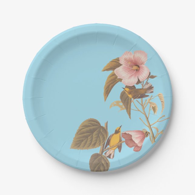 Audubon Blue Winged Yellow Warbler Bird Paper Plates (Front)