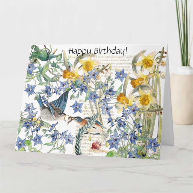 Audubon Bluebird Bird Floral Birthday Card (Front)