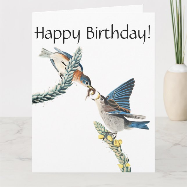 Audubon Bluebird Bird Wildlife Birthday Card (Front)