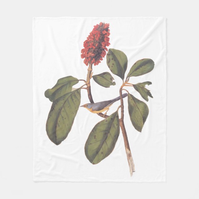 Audubon Bonaparte Flycatcher Bird Fleece Blanket (Front)