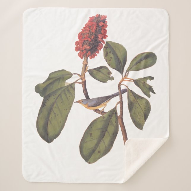 Audubon Bonaparte Flycatcher Bird Sherpa Blanket (Front)