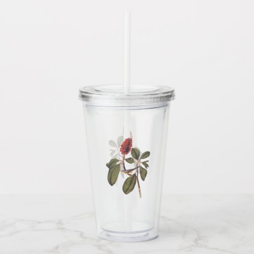 Audubon Bonaparte Flycatcher Songbird and Magnolia Acrylic Tumbler