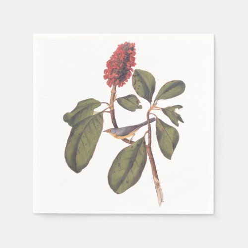 Audubon Bonaparte Flycatcher Songbird and Magnolia Napkins