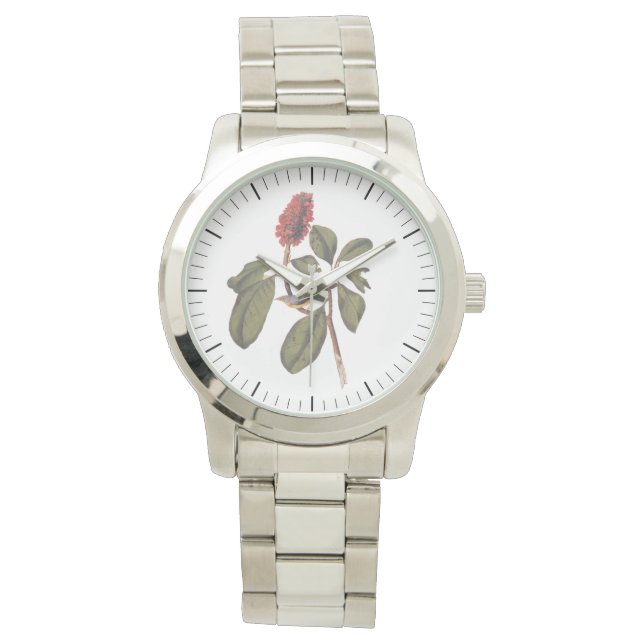 Audubon Bonaparte Flycatcher Songbird and Magnolia Watch (Front)