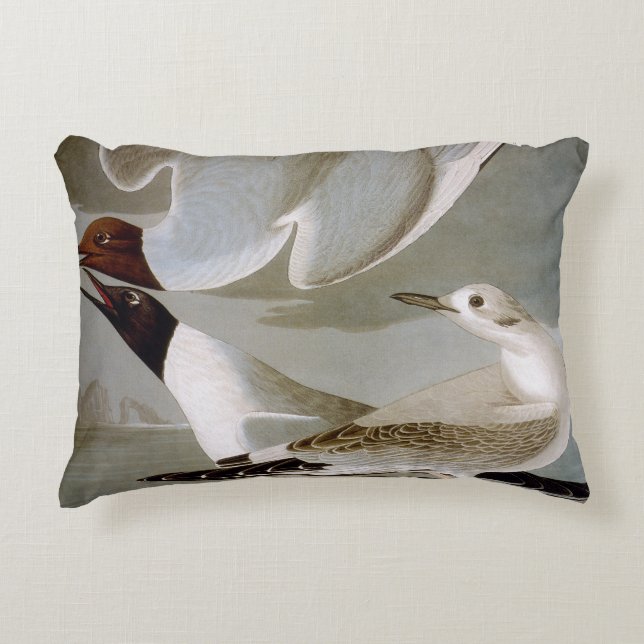 Audubon: Bonaparte's Gull Decorative Pillow (Front)