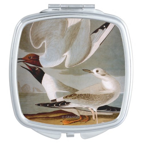 Audubon Bonapartes Gull Mirror For Makeup