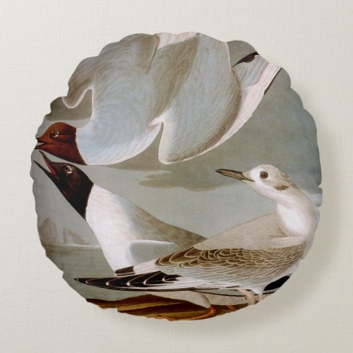 Audubon Bonapartes Gull Round Pillow