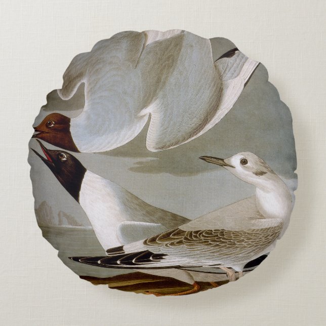 Audubon: Bonaparte's Gull Round Pillow (Front)