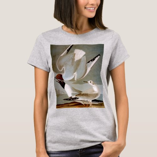 Audubon Bonapartes Gull T_Shirt