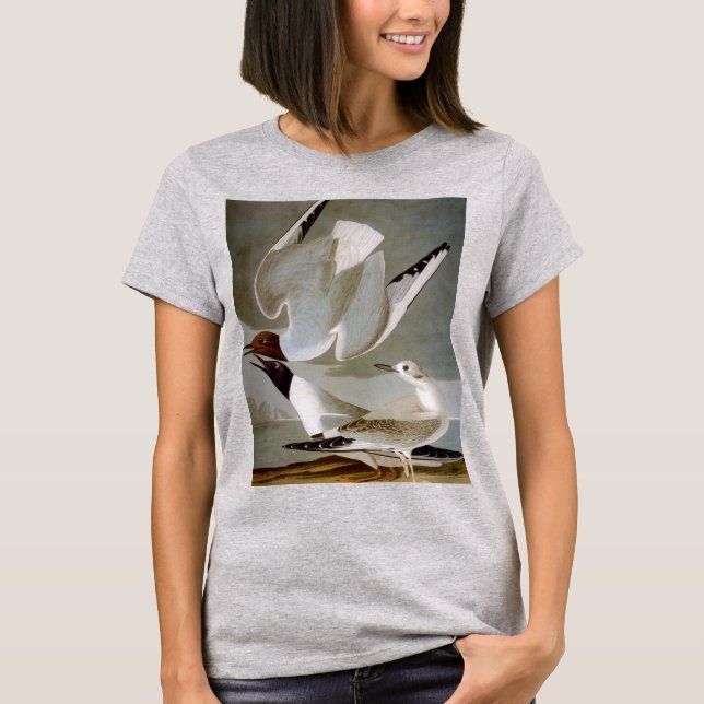 Audubon: Bonaparte's Gull T-Shirt (Front)