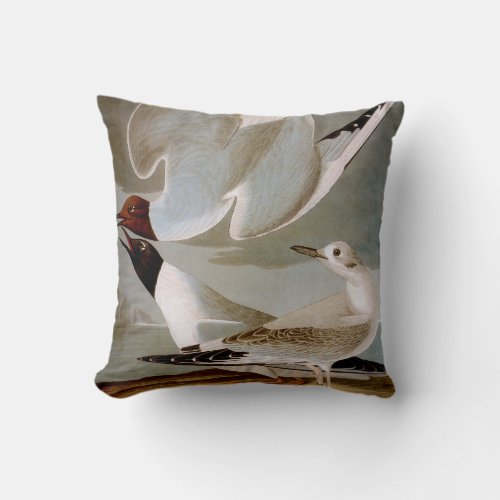 Audubon Bonapartes Gull Throw Pillow