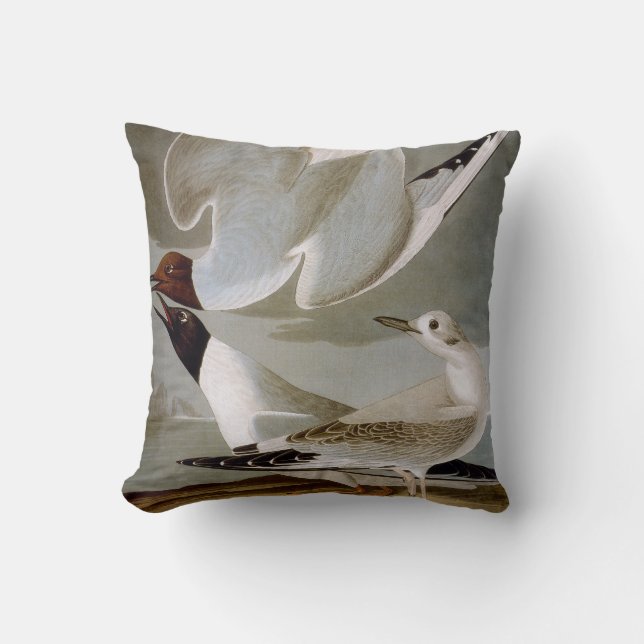 Audubon: Bonaparte's Gull Throw Pillow (Front)