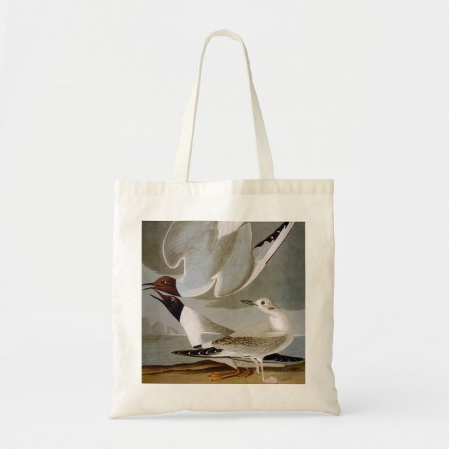 Audubon: Bonaparte's Gull Tote Bag (Front)