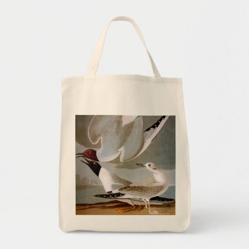 Audubon Bonapartes Gull Tote Bag