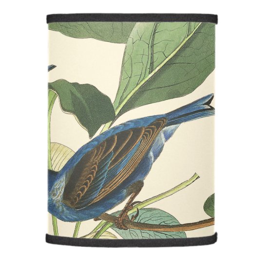 Audubon Bunting Birds Wildlife Animals Lamp Shade (Right)