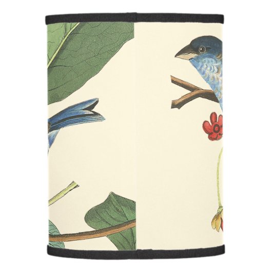 Audubon Bunting Birds Wildlife Animals Lamp Shade (Back)