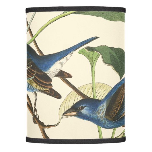 Audubon Bunting Birds Wildlife Animals Lamp Shade (Front)