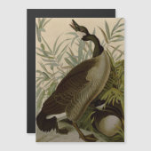 Audubon Canada Goose Wildlife Bird (Front/Back)