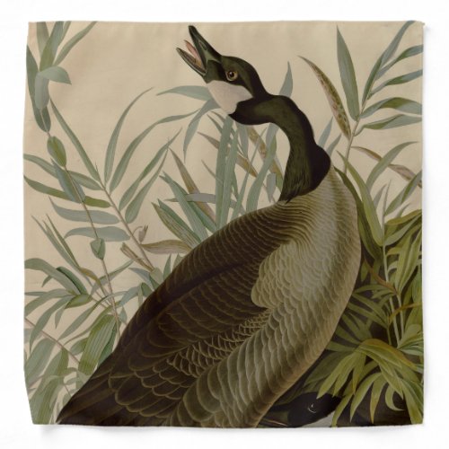 Audubon Canada Goose Wildlife Bird Bandana