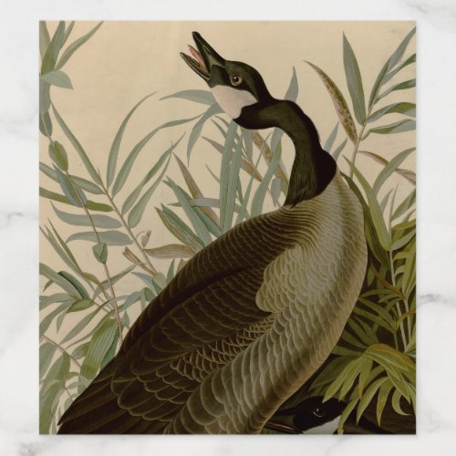 Audubon Canada Goose Wildlife Bird Envelope Liner