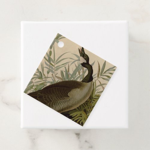 Audubon Canada Goose Wildlife Bird Favor Tags