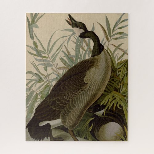 Audubon Canada Goose Wildlife Bird Jigsaw Puzzle