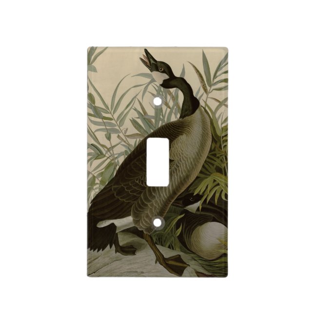 Audubon Canada Goose Wildlife Bird Light Switch Cover (Front)