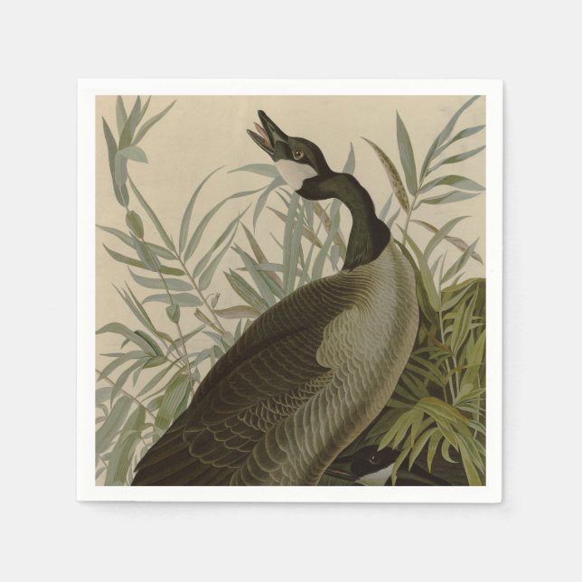 Audubon Canada Goose Wildlife Bird Napkins (Front)