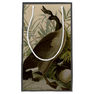 Audubon Canada Goose Wildlife Bird Small Gift Bag