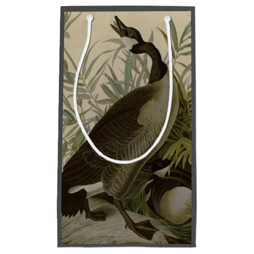 Audubon Canada Goose Wildlife Bird Small Gift Bag