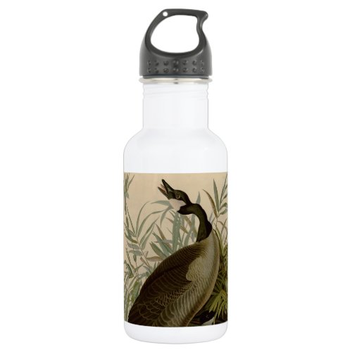 Audubon Canada Goose Wildlife Bird Stainless Steel Water Bottle