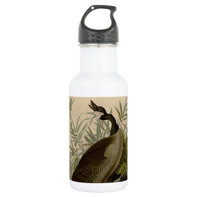 Audubon Canada Goose Wildlife Bird Stainless Steel Water Bottle (Front)
