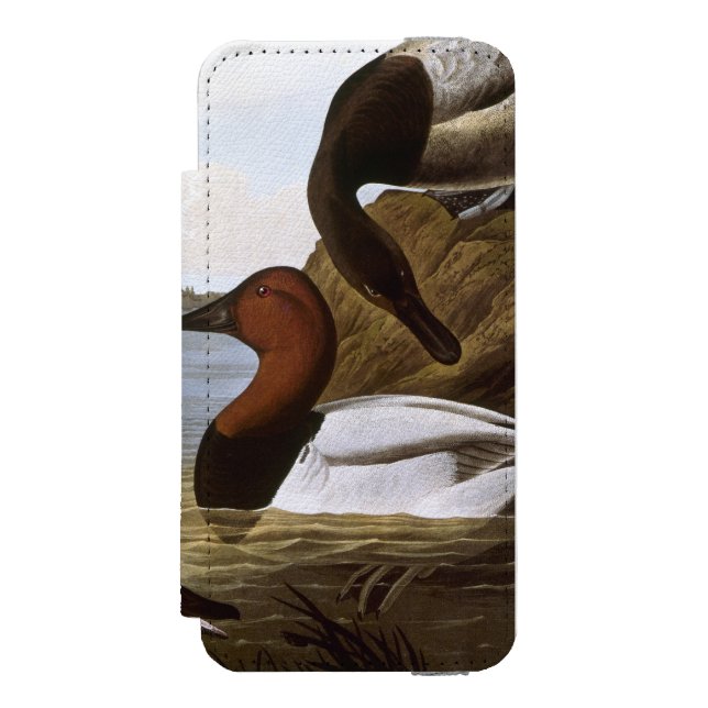Audubon: Canvasback Incipio iPhone Wallet Case (Folio Front)