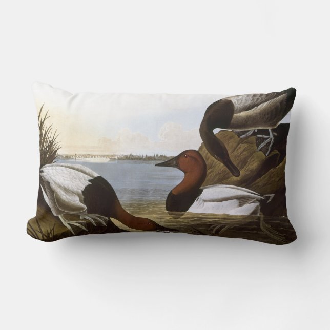 Audubon: Canvasback Lumbar Pillow (Front)
