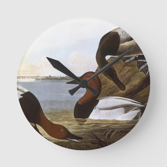 Audubon: Canvasback Round Clock (Front)