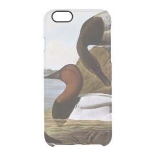 Audubon: Canvasback Clear iPhone 6/6S Case