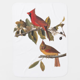 Audubon Cardinal Pair in Wild Almond Tree Baby Blanket