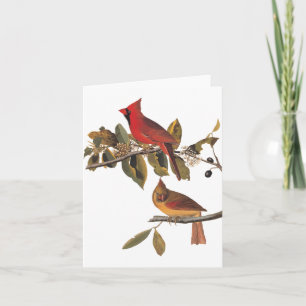 Audubon Cardinal Pair in Wild Almond Tree Card