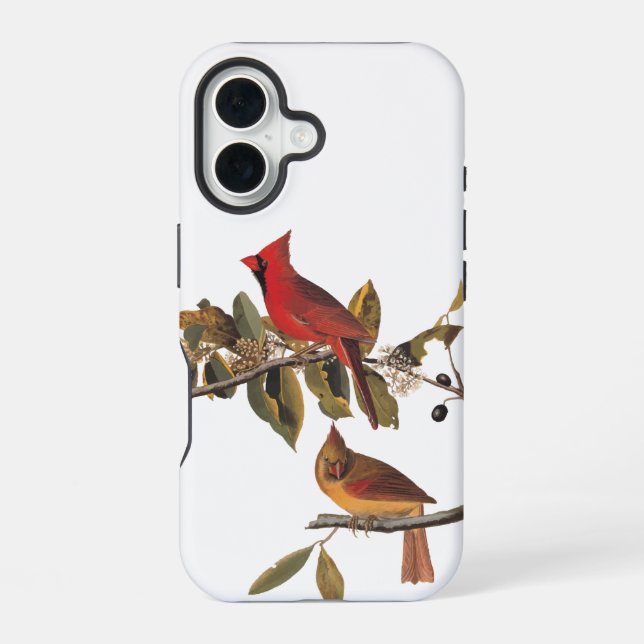 Audubon Cardinal Pair in Wild Almond Tree iPhone Case (Back)