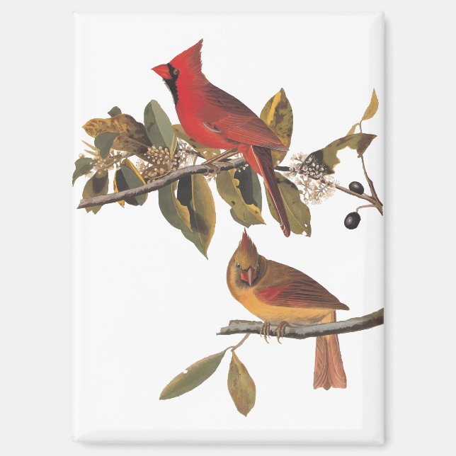 Audubon Cardinal Pair in Wild Almond Tree Magnet (Front)