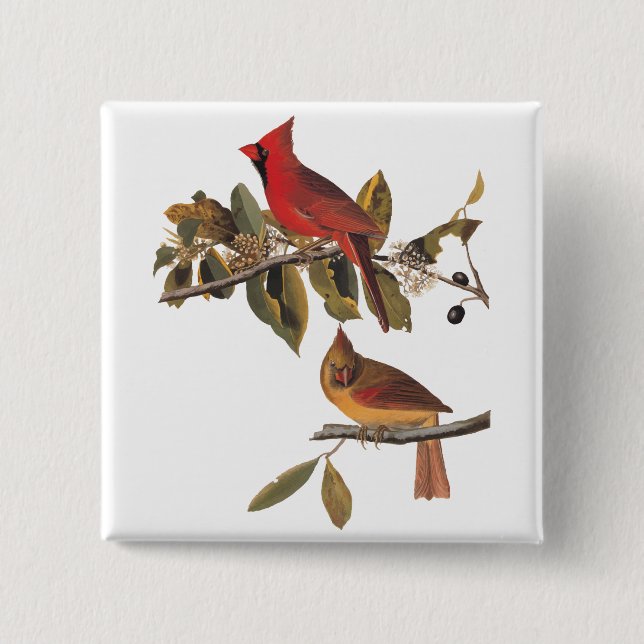 Audubon Cardinal Pair in Wild Almond Tree Pinback Button (Front)