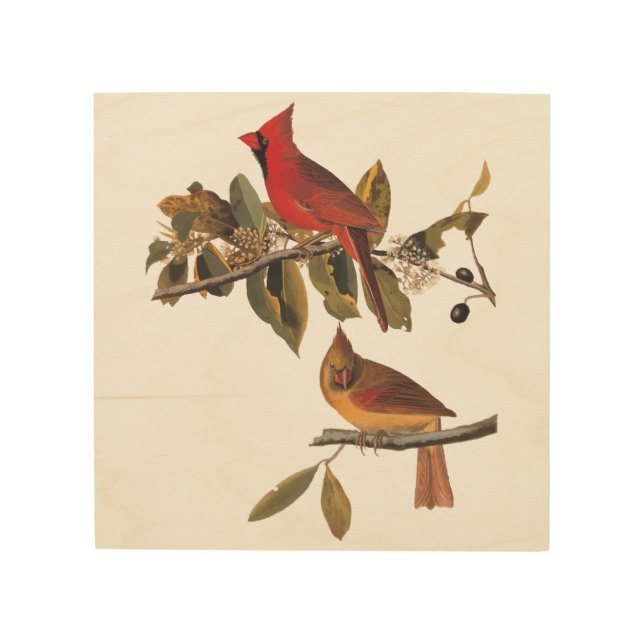 Audubon Cardinal Pair in Wild Almond Tree  Wood Wall Art (Front)