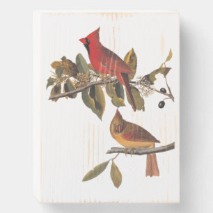 Audubon Cardinal Pair in Wild Almond Tree Wooden Box Sign