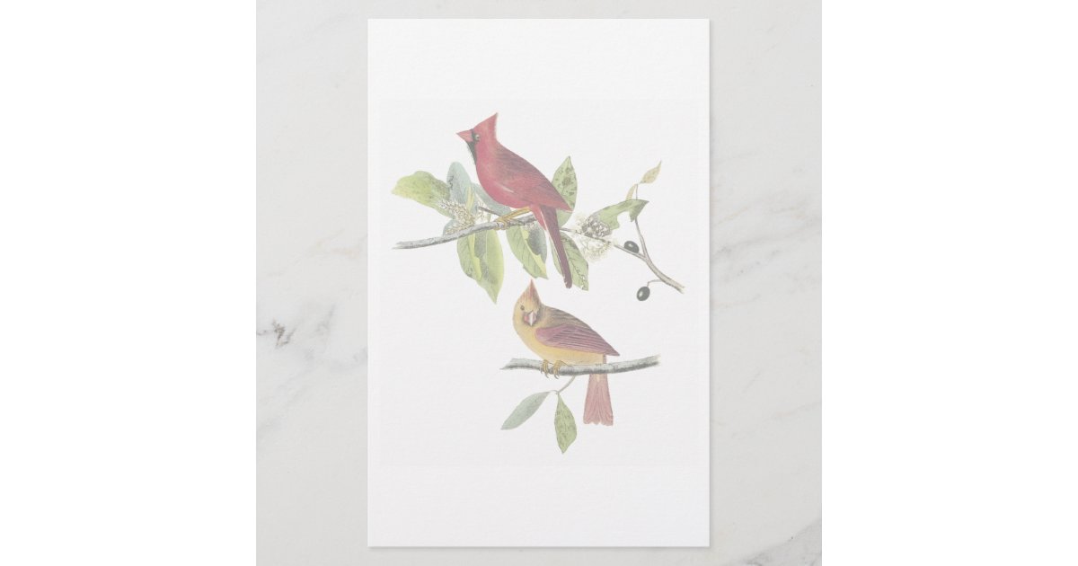 Audubon Cardinal Stationery | Zazzle