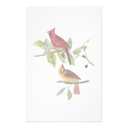 Audubon Cardinal Stationery | Zazzle.com