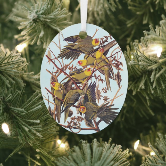 Audubon Carolina Parakeet Flock Metal Ornament (Insitu)