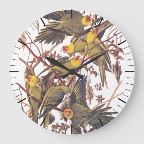 Audubon Carolina Parakeet Large Clock