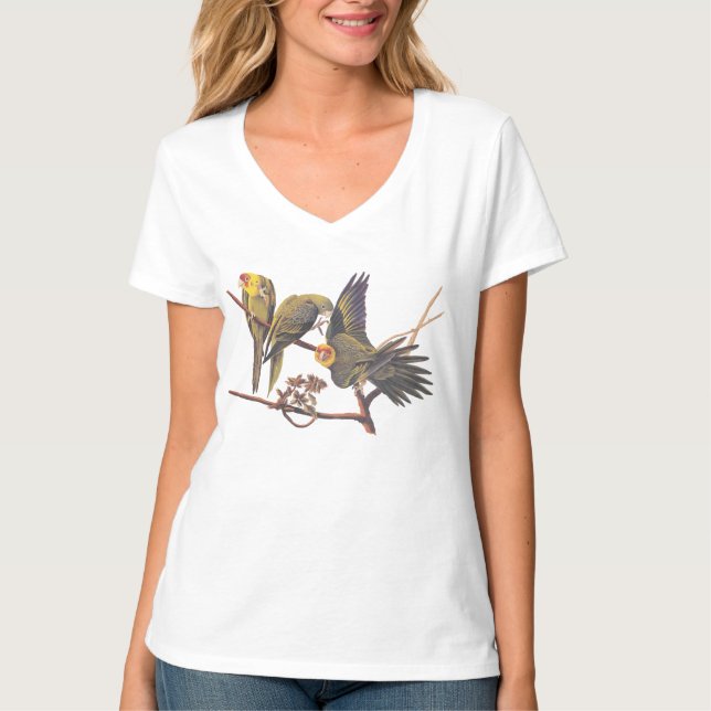 Audubon Carolina Parakeet Trio T-Shirt (Front)