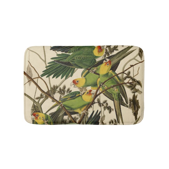 Audubon Carolina Parrot Bird illustration Bathroom Mat (Front)